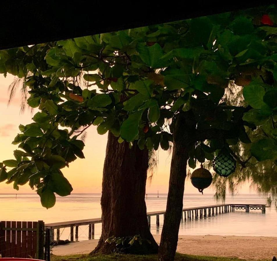 Beach De Reve De Moorea Hauru Exteriér fotografie