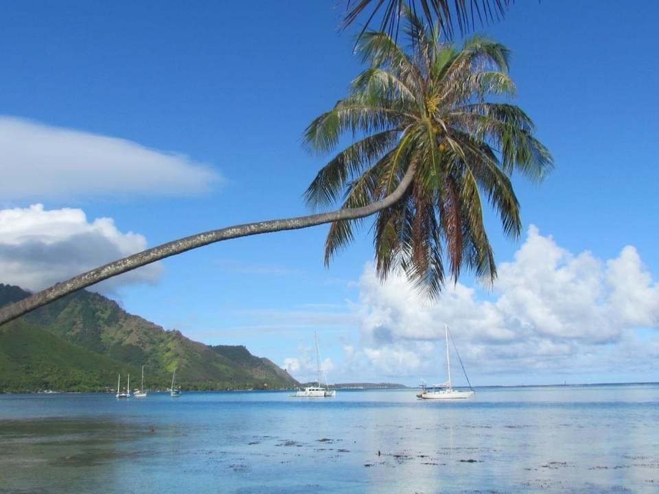 Beach De Reve De Moorea Hauru Exteriér fotografie