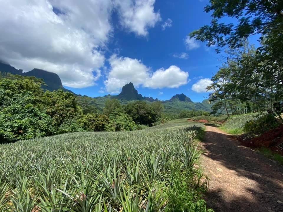 Beach De Reve De Moorea Hauru Exteriér fotografie
