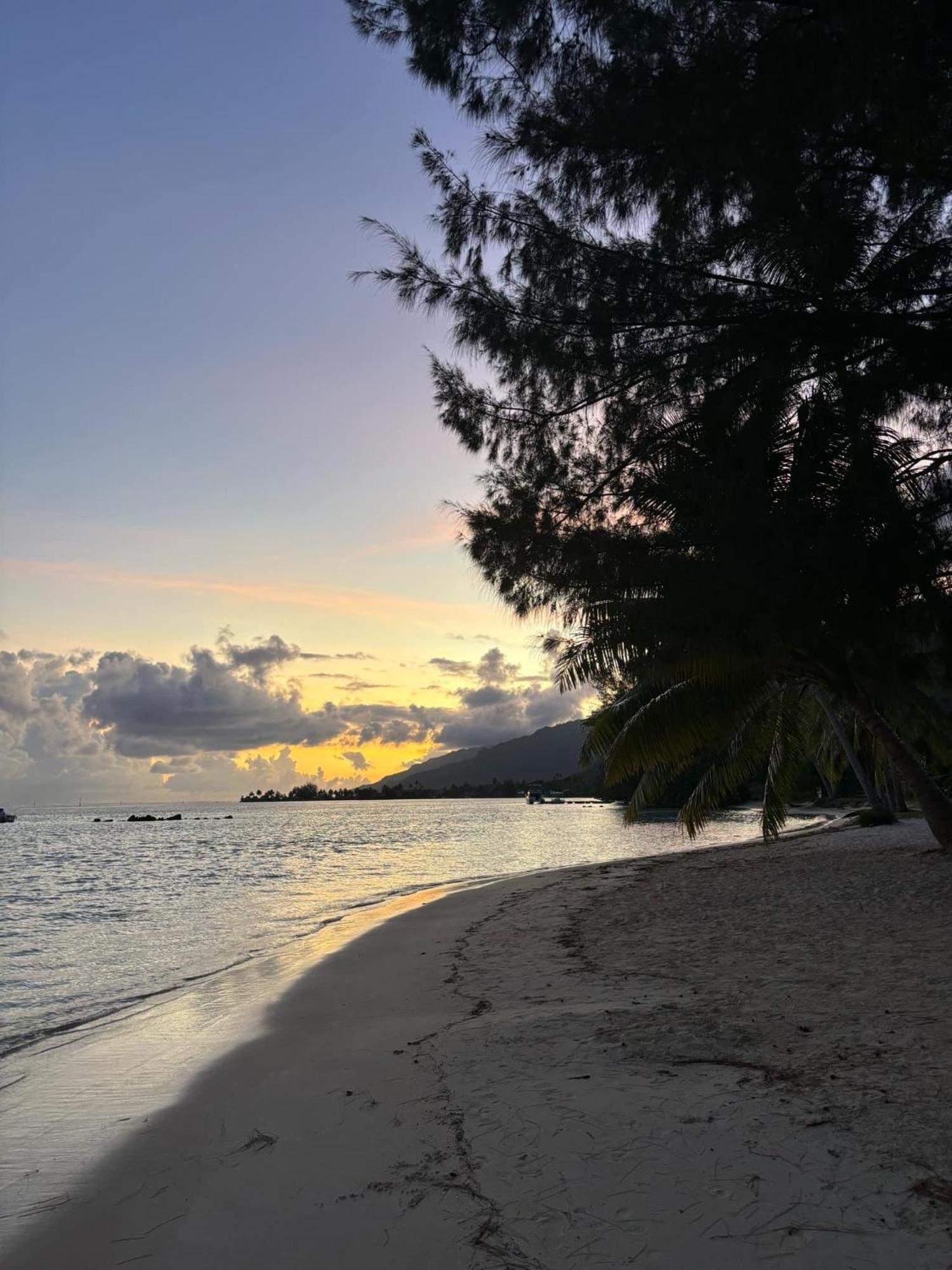 Beach De Reve De Moorea Hauru Exteriér fotografie
